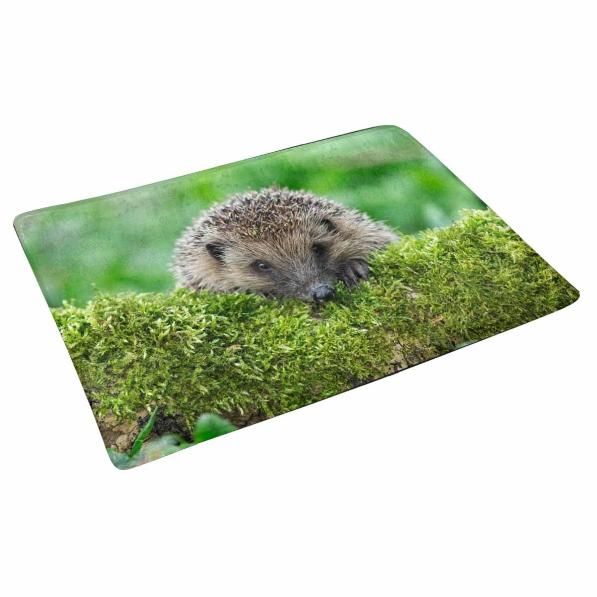 MKHERT Funny Animal Wild Hedgehog on Green Moss Doormat Rug Home Decor Floor  Mat Bath Mat 30x18 inch - Walmart.com