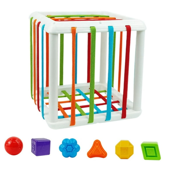 Xuanheng Activity Cube Bin Color Recognition Educational Developmental Montessori Toy for