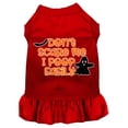 thumbnail image 5 of Halloween Pet Dog  Cat Dress Screen Printed, "Don't Scare Me, I Poop Easily", 5 of 10