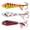 Assorted Colors, variant on Northland Tackle Buck-Shot Coffin Ice Fishing Spoon, Super Glo Redfish, 1/4 Oz, 1/Cd
