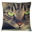 thumbnail image 4 of S4Sassy Brown Cat Face Digital Print Decorative Pillow Case Cushion Cover -24 x 24 Inches, 4 of 8