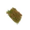 thumbnail image 1 of QualitChoice Miniature Grass Tuft Model Scenery Model Decor Flower Grass Tuft Realistic Decoration For Enthusiasts Style C, 1 of 6