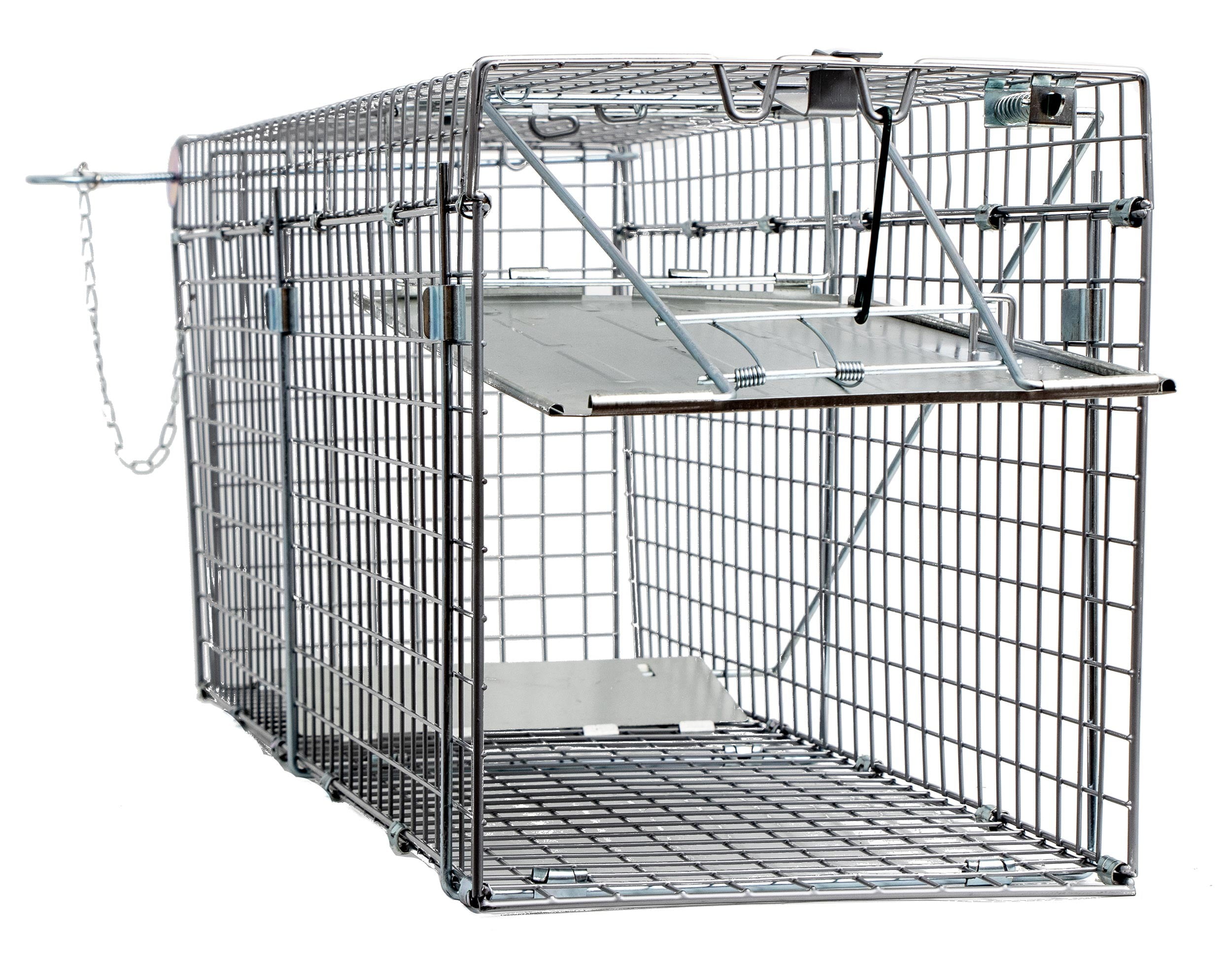 Large One Door Collapsible Catch Release Heavy Duty Cage Live Animal