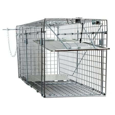 Large One Door Collapsible Catch Release Heavy Duty Cage Live Animal Trap for Gophers, Racoons, Possums, Groundhogs, Beavers, and Other Similar Sized Animals,