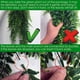 thumbnail image 5 of 4 Paquetes Plantas Colgantes Artificiales Decoración de Pared de Hojas de Hiedra Falsa para Interior Al Aire Libre, Decoración del Hogar con Vegetación Vid de Imitación, 5 of 8