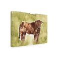 thumbnail image 2 of Jennifer Goldberger 'Cow in the Field I' Canvas Art, 2 of 3