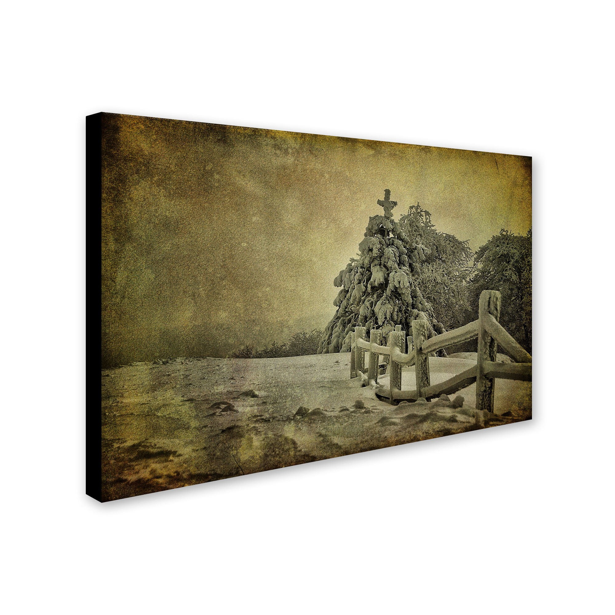 Trademark Fine Art "Oh Christmas Tree" Canvas Art by Lois Bryan