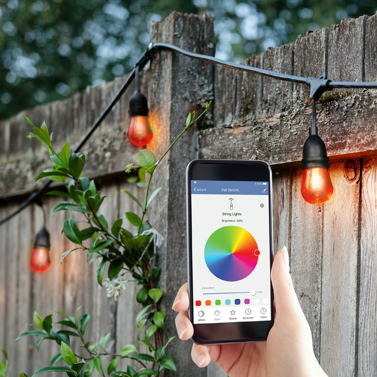 Feit Electric 12 Light Outdoor 24' Plug-in RGBW Color Changing Smart LED  String Light, Alexa/Google 