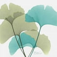 thumbnail image 2 of Koetsier, Albert 20x20 White Modern Wood Framed Museum Art Print Titled - Gingko 1, 2 of 4