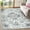 Gray -01, variant on Ultrug Area Rugs for Bedroom Rug for Living Room Nursery Decor Fluffy Vintage Carpet,4'x6',Grey