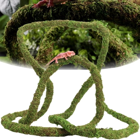 Moss Vine for Reptiles, Bendable Climbing Vines Reptile Tank Accessories, Natural Moss Rope for Leopard Gecko, Lizard, Snake, Chameleon, Frog Terrarium Decor (Jungle Green, 6.5 FT)