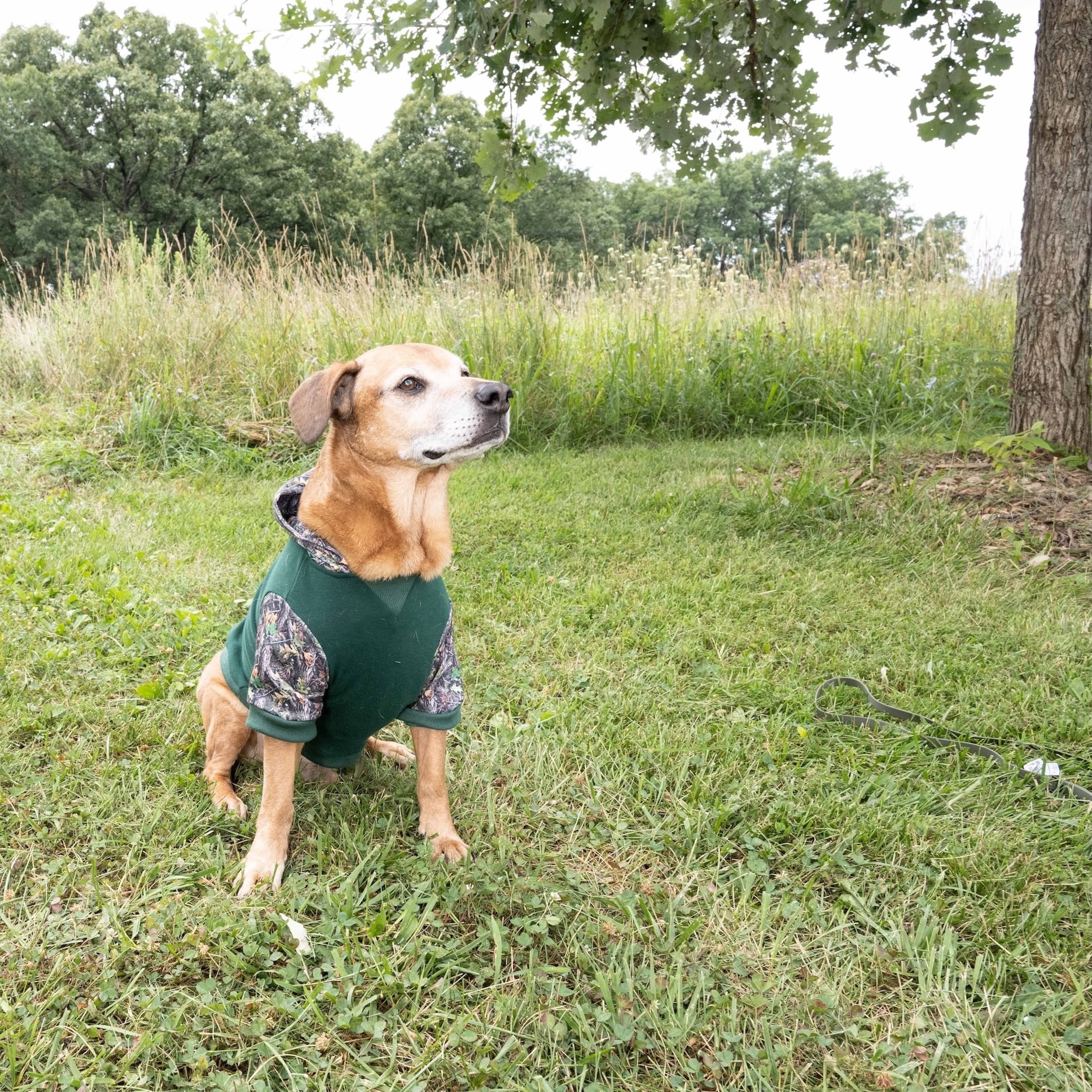 Remington Camo Logo Pet Hoodie for Dogs, Sage, Size M