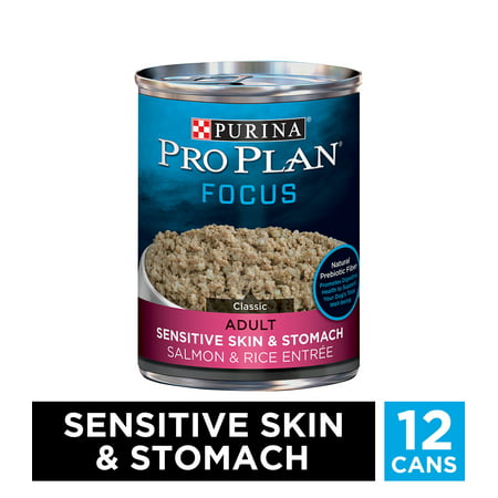 Purina Pro Plan FOCUS Adult Sensitive Skin & Stomach Salmon & Rice Entree Adult Wet Dog Food, 13 (Best Dog Food For Yorkies With Sensitive Stomach)