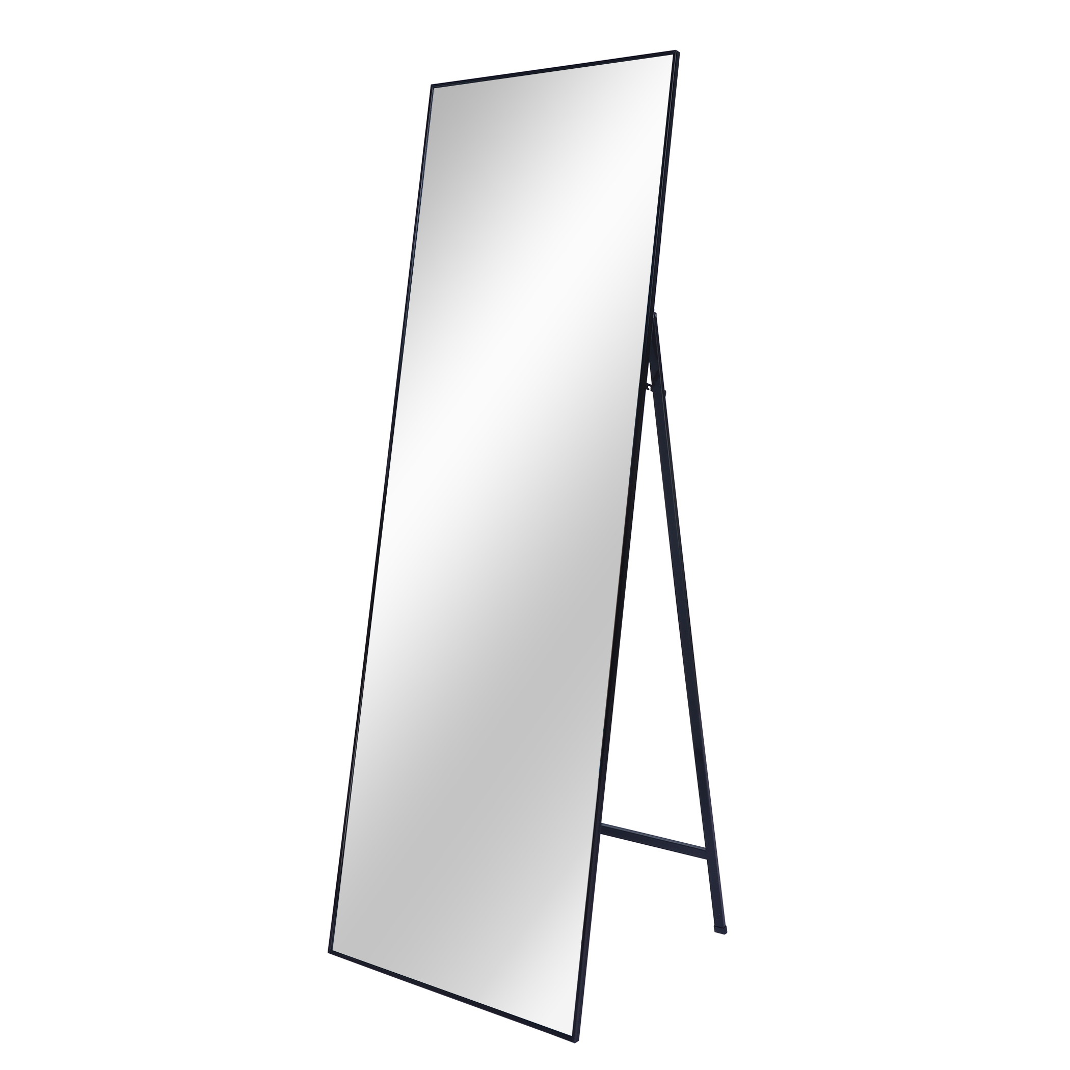 65" x 22" Full Length Mirror, Sesslife Rectangle Full Body Dressing