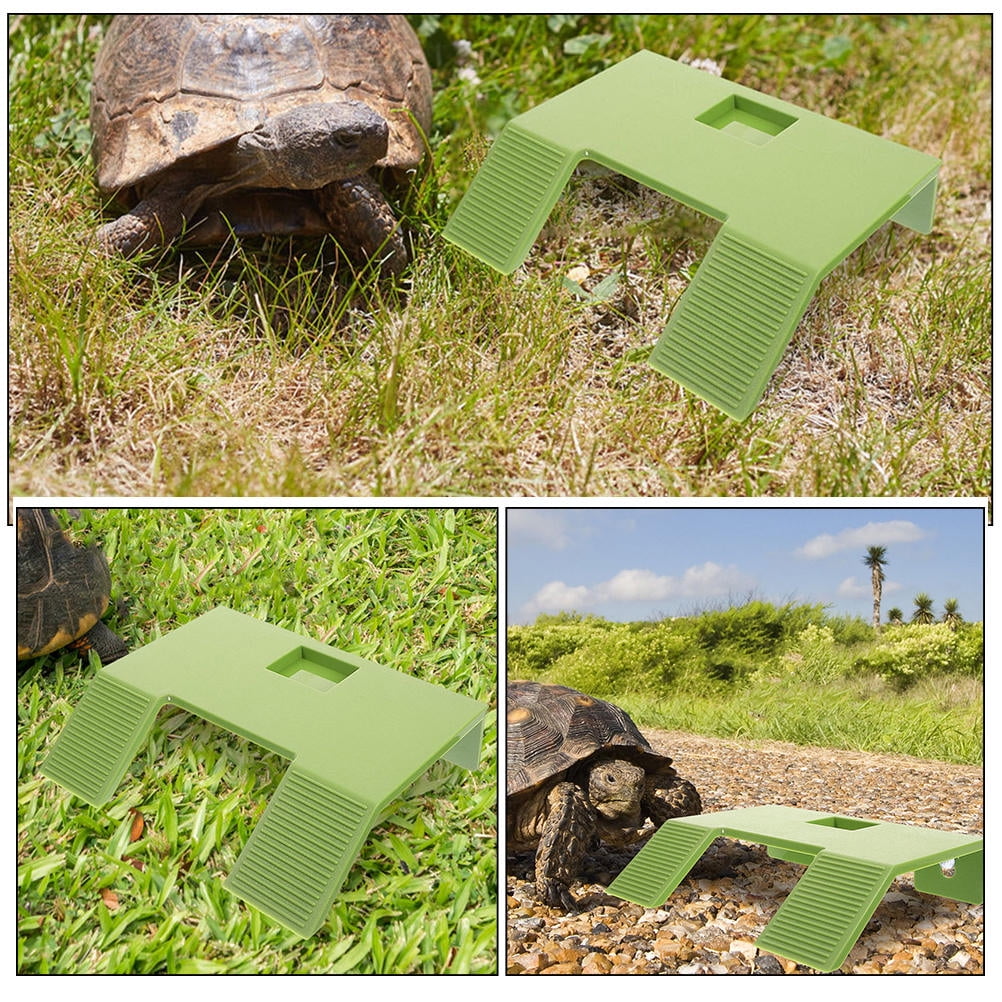 CTIRCHIU Green Plastic Turtle Basking Platform Stable Durable Aquarium Resting and Climbing Ramp