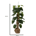 thumbnail image 4 of Vintage Home Artificial Faux 66" Tall Scindapsus Aureus And Banana Skin With Eco-Paper Planter With Eco Planter, 4 of 5