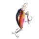 thumbnail image 3 of Soidarity 1 unidad de cebo Artificial de pesca de simulación de 4,5 cm, cebo en forma de pez, señuelo de pesca de simulación, cebo duro flotante, Pescar 1 Soidarity OD001272-01, 3 of 6