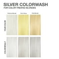 thumbnail image 5 of Pastel Silver Colorwash Shampoo, 5 of 8
