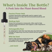 PetAlive EaseSure-S - Herbal Nervous System Support for Pets - Herbal Nervous System Drops for Dogs & Cats with Passion Flower & Ashwagandha, Pet Involuntary Muscle Movements & Twitching - 2 Fl Oz