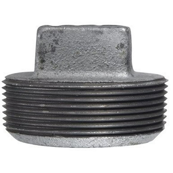 Plug Anvil International 2 en hierro maleable galvanizado