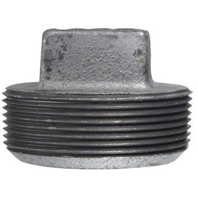 Plug Anvil International 2 en hierro maleable galvanizado