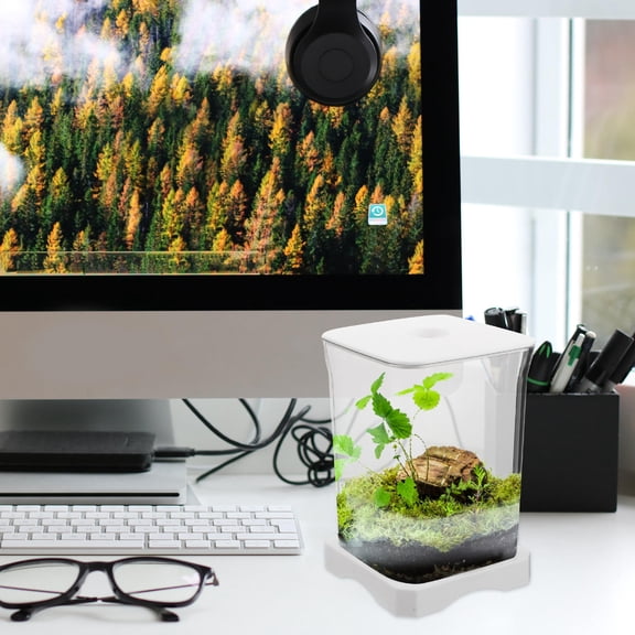 OULII Small Plastic Betta Fish Bowl with Decorative Desktop Aquatic Habitat