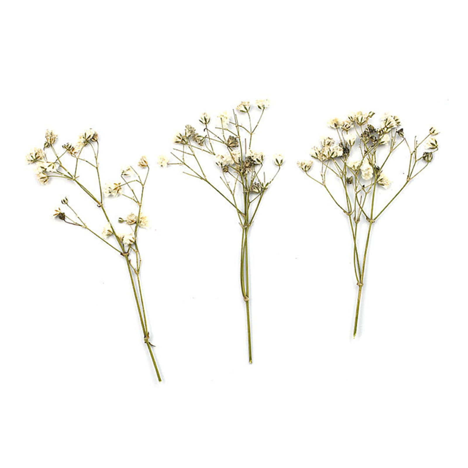 Bobasndm Baby Breath Flowers Real Touch 12Pcs Dried Real Touch