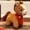 B, variant on Generic 2026 Chinese New Year of The Horse Plush - Ideal for Home Decor Blessing,Souvenir Mascot for Car Ornaments Home Office Store Restaurant Tabletop Decors-Lucky