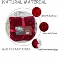 thumbnail image 6 of Qhnvtd Milk Velvet Plush Shawl Blanket, Soft Warm Cozy Throw for Sofa and Bed, Double-Sided Edging, Lightweight Portable Fleece, All-Season Use, Home, Travel, Picnic, Office, 6 of 6