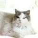 thumbnail image 5 of Collar Ajustable Collares de Mascotas con Pompones para Gatos y Perros Pequeños Artículos para Fiestas, 5 of 7