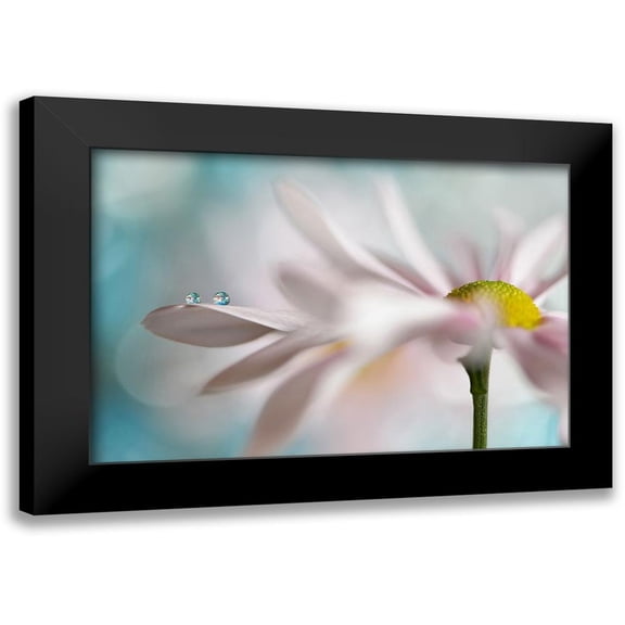 Westum, Heidi 14x11 Black Modern Framed Museum Art Print Titled - Tiny duo