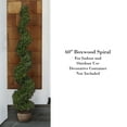 thumbnail image 3 of Pure Garden 5-Foot Realistic Plastic Faux Boxwood Artificial Plant (Green), 3 of 7