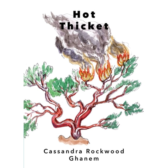 Hot Thicket, (Paperback)