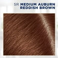 thumbnail image 4 of Clairol Root Touch-Up Nice'n Easy Permanent Hair Dye, 5R Medium Auburn, Hair Color, 1 Kt, 4 of 14
