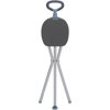 Juvo Products CS101 Travel Seat & Cane
