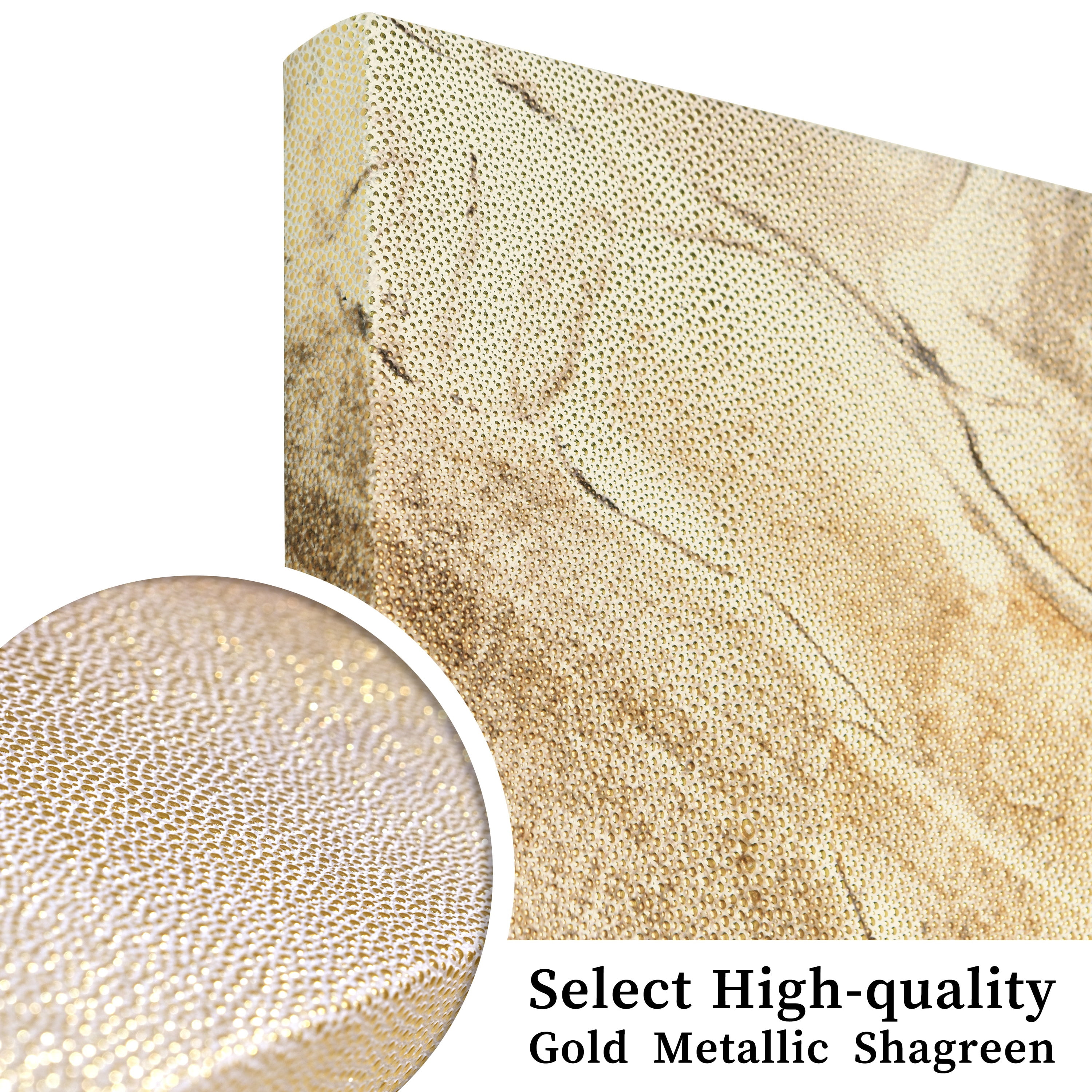 "Golden Layers II" Abstract artwork Rendered on Gold Shagreen Wrapped Canvas Wall Art, sized 72"x22"