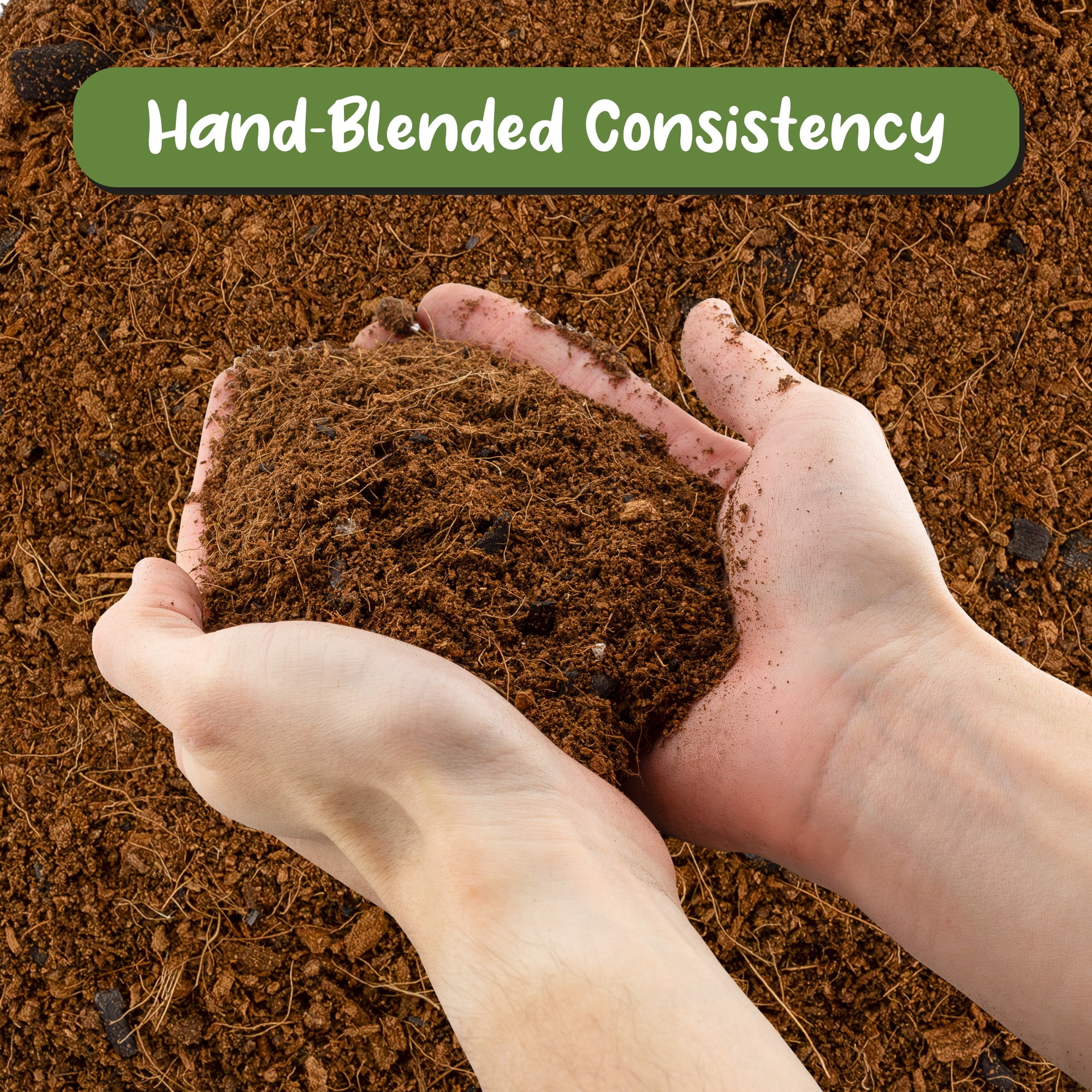 Terrarium Potting Soil Mix (8 Quarts), w/ Blended Filtering Charcoal Custom Made for Terrariums