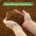 thumbnail image 3 of Terrarium Potting Soil Mix (8 Quarts), w/ Blended Filtering Charcoal Custom Made for Terrariums, 3 of 9