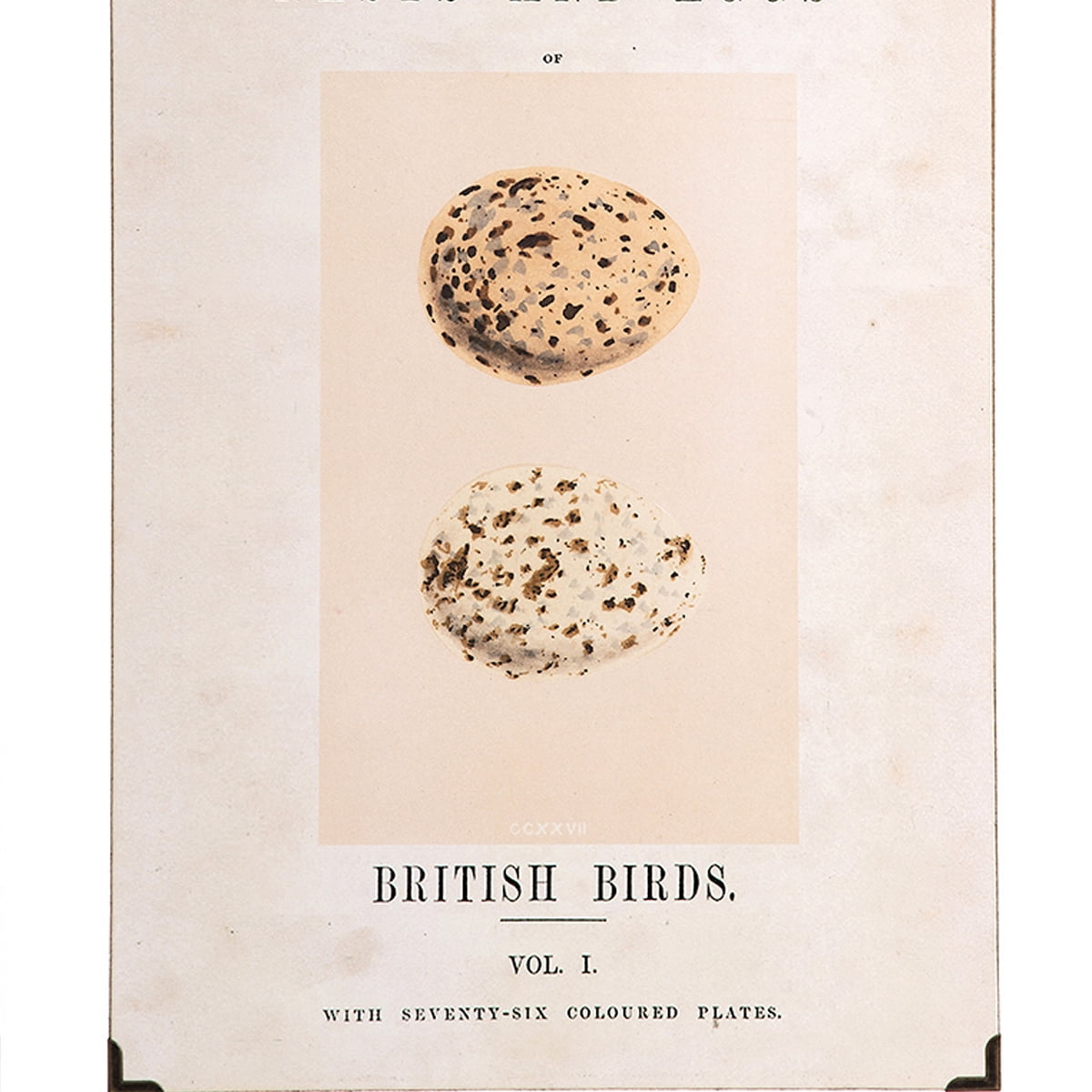 British Eggs Easter Spring Wall Art Set of 3