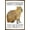Bronze Framed Version, variant on Capybara - Be Cappy Wall Poster, 22.375" x 34" Framed