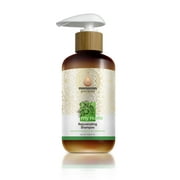 Moroccan Gold Series My NuDO Rejuvenating Shampoo 250ml/8.45oz Shampoo for Thinning Hair and Hair Loss – Hair Thickening Shampoo with Argan Oil, Caffeine, Arginine – Cleanse Scalp & Strengthen Hair