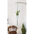 thumbnail image 4 of Handmade and Dip-Dyed Macrame Plant Hanger Art - 'Ivy', 4 of 9