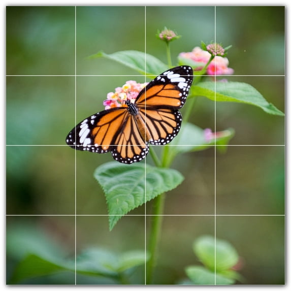 Picture-Tiles.com: Butterfly Ceramic Tile Wall Mural WAL500280-44XL. 48"W x 48"H using (16) 12" x 12" Ceramic Tiles-Satin Finish