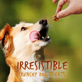 thumbnail image 2 of Fruitables Baked Dog Treats – Pumpkin Treats for Dogs – Healthy Low Calorie Treats – Free of Wheat, Corn and Soy – Pumpkin and Banana – 12 Ounces, 2 of 7
