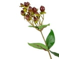 thumbnail image 6 of Allstate Hypericum Berry Artificial Floral Spray - 29" - Burgundy, 6 of 7