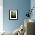 thumbnail image 6 of Great Smoky Mountains National Park, North Carolina, USA, Botanical Scenic Framed Art Print Wall Art by Adam Jones Sold by Art.Com, 6 of 6