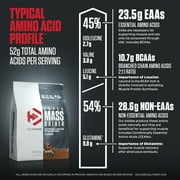 Dymatize Super Mass Gainer, High Protein & Carb Blend, Rich Chocolate, 52g Protein/Serving, 12 Lb