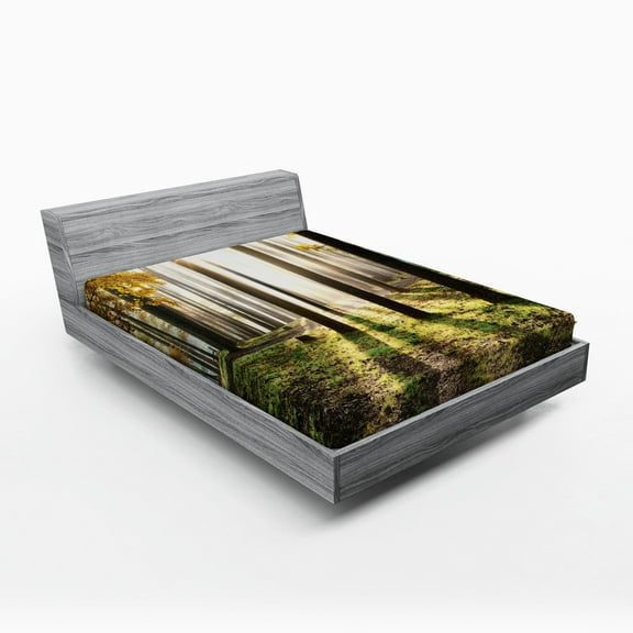 Forest Fitted Sheet, Landscape Sunrise in the Forest Leaves in Seasonal Woodland Scenery Photo, Soft Decorative Fabric Bedding, Queen Size, Yellow Green Brown, by Ambesonne