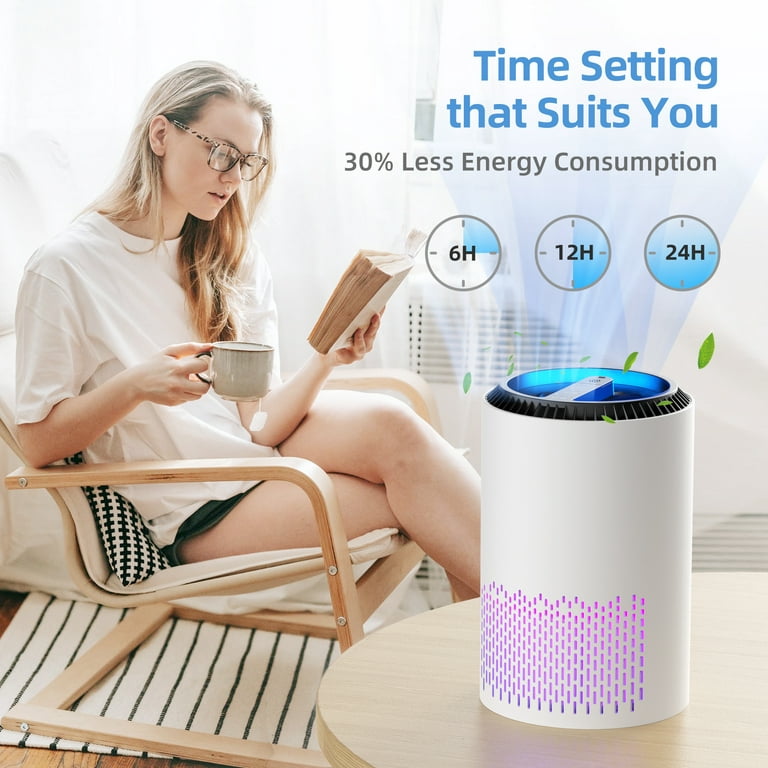 AROEVE Air Purifiers for Home, HEPA Air Purifiers Air Cleaner For Smoke  Pollen Dander Hair Smell Portable Air Purifier with Sleep Mode Speed  Control