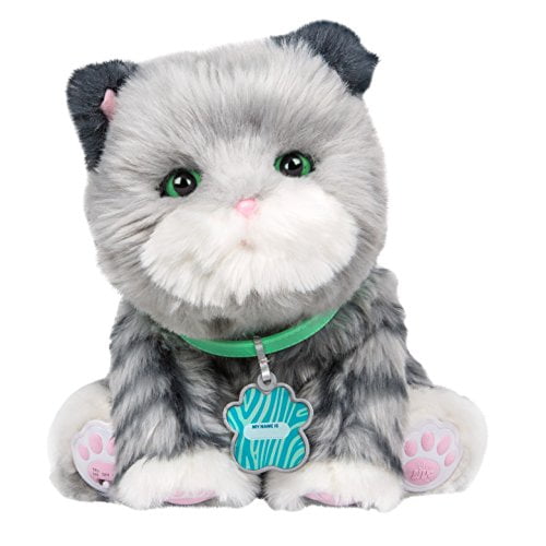 Little Live Pets Smooch, My Dream Kitten
